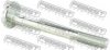 FEBEST 1629-204 Camber Correction Screw